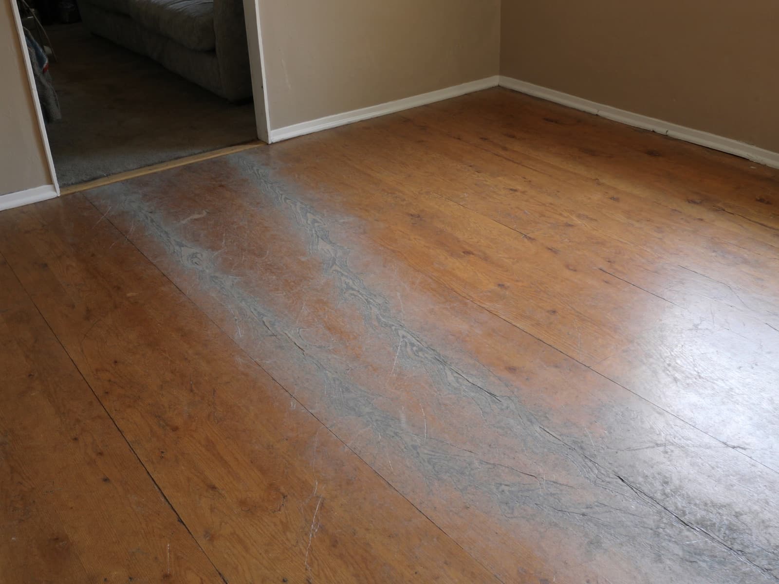 Living room with worn oak hardwood, scratches and gray wear paths