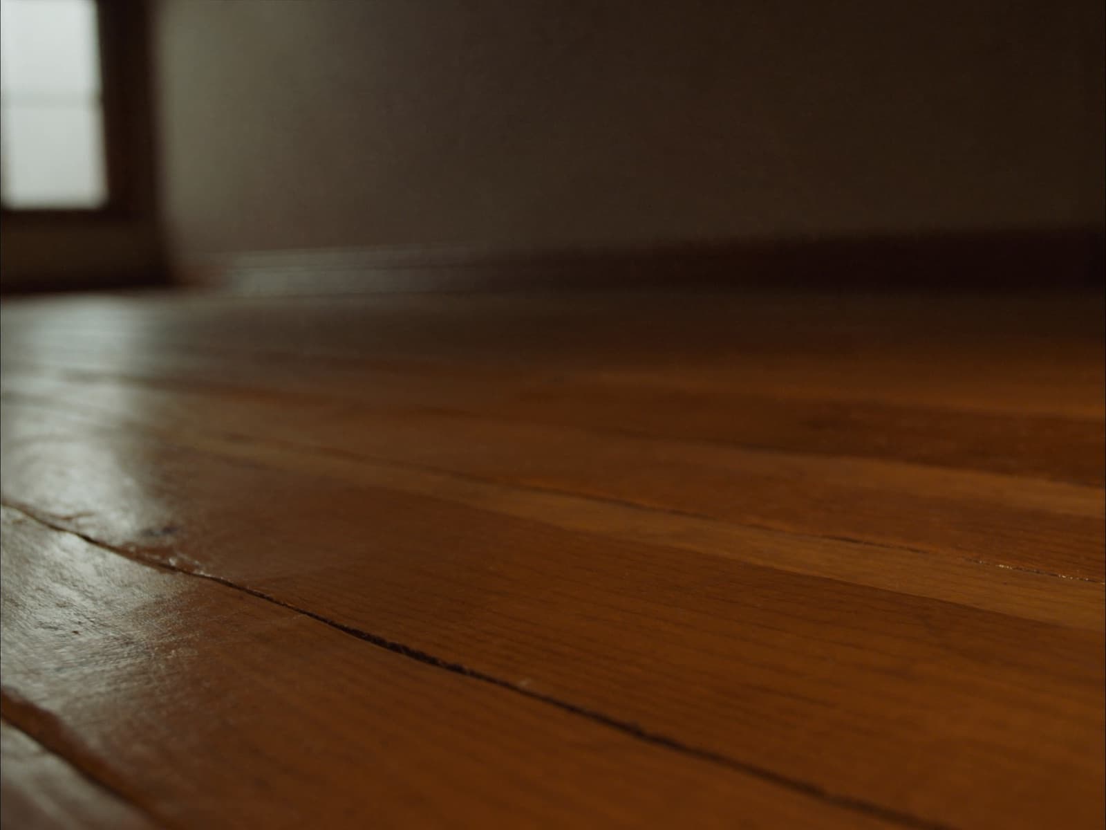 Refinished oak hardwood floor with a satin finish catching warm light